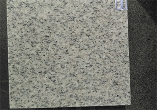 1-230313144R0331.jpg