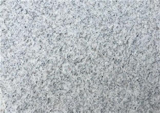 1-2304041K125219.jpg