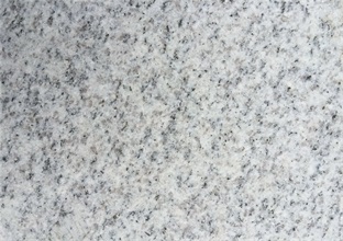 1-250311120T9E8.jpg